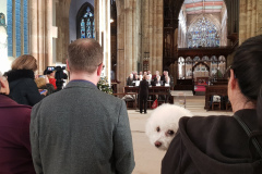Hull-Veterans-Choir-enjoyed-by-the-audience-and-an-enthusiastic-pooch