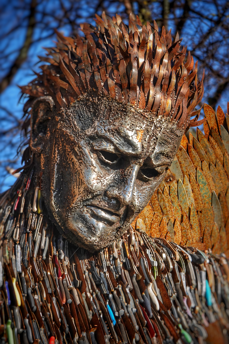 Galleries Hull CC News