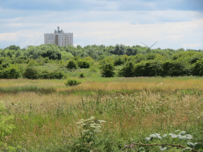 Gatwick-House-on-Bransholme-with-the-Noddle-Hill-Local-Nature-Reserve-in-foreground
