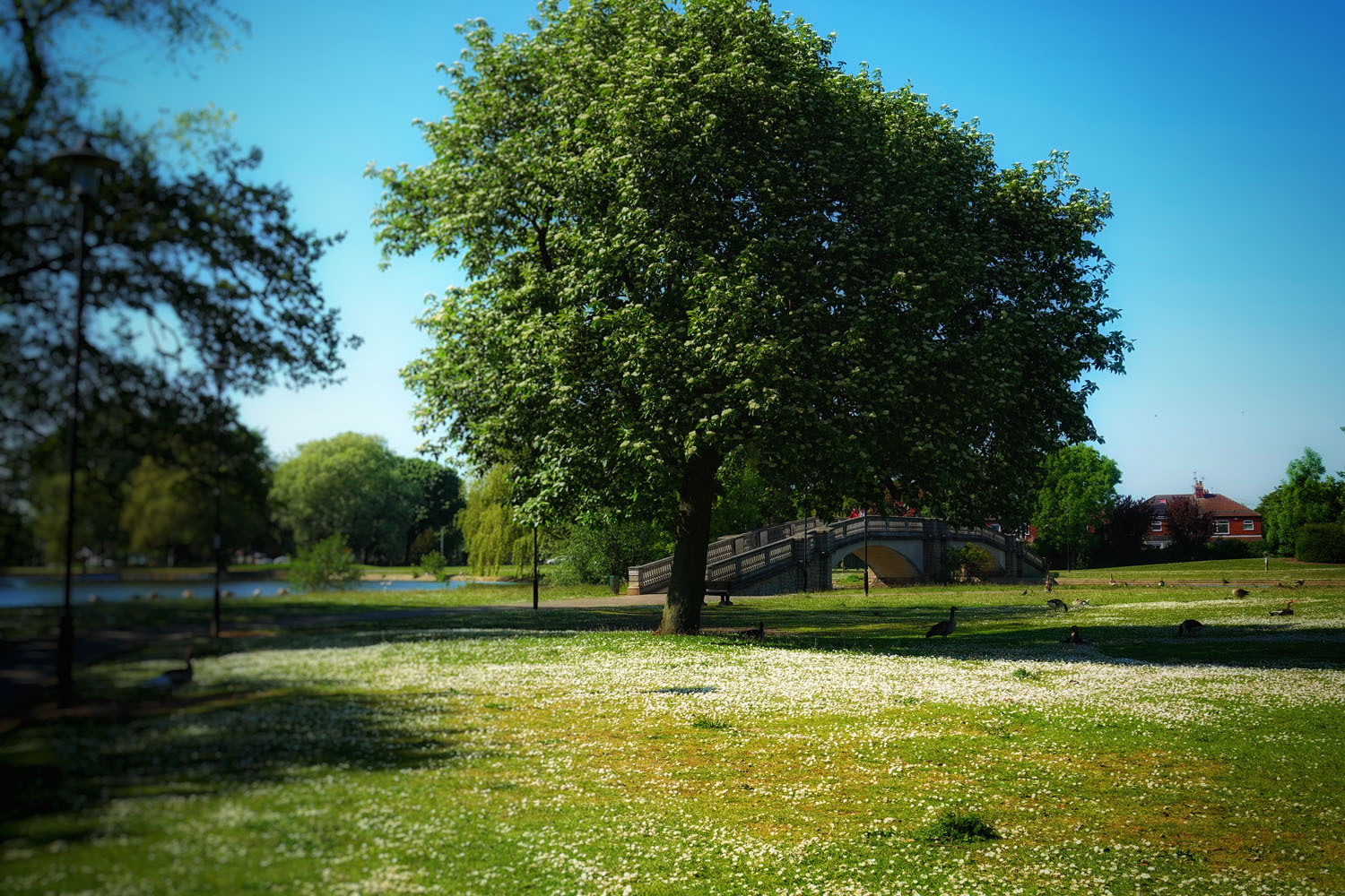 East Park in Hull.