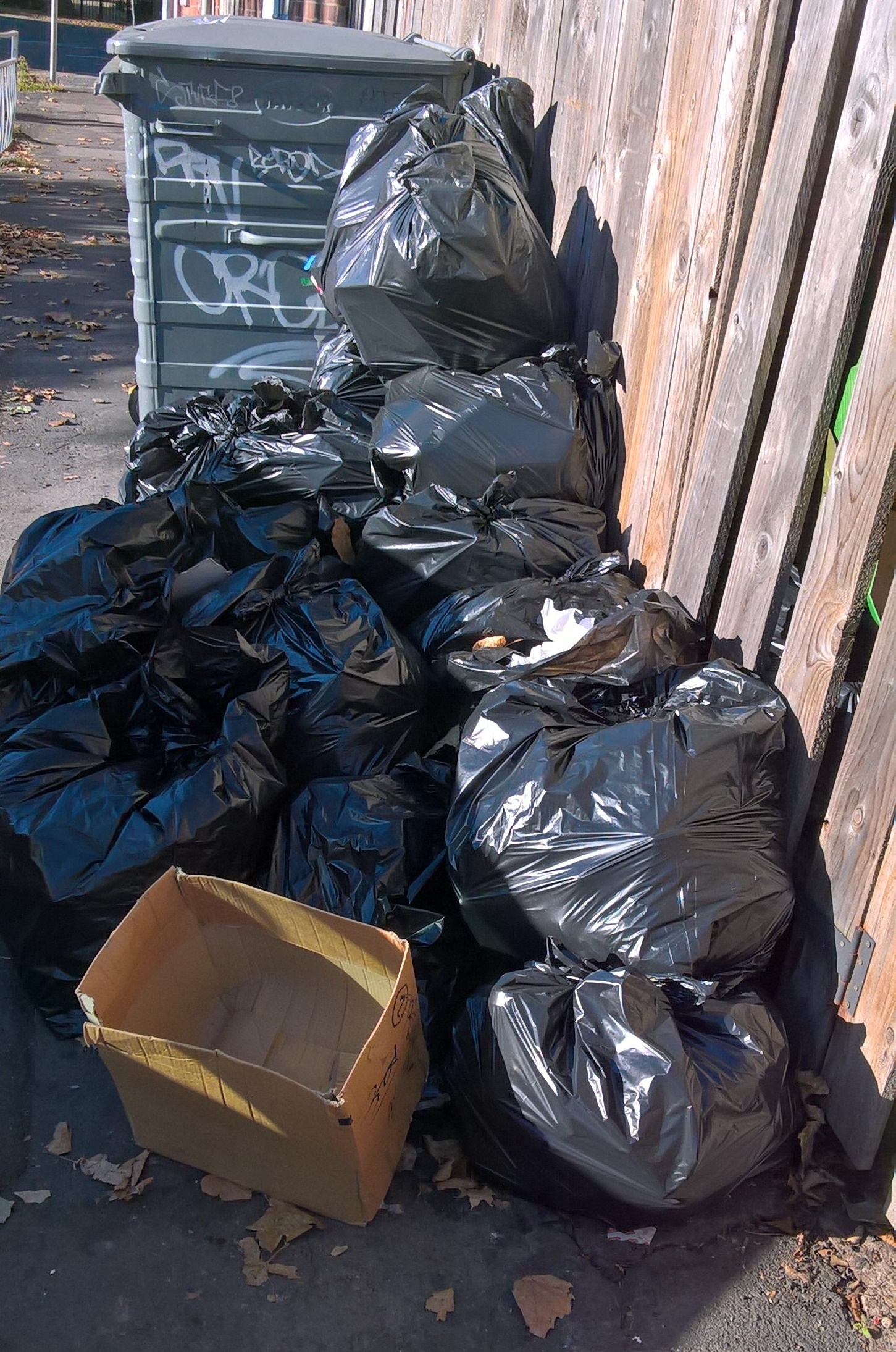 Bags of rubbish from Lucca in Princes Avenue.