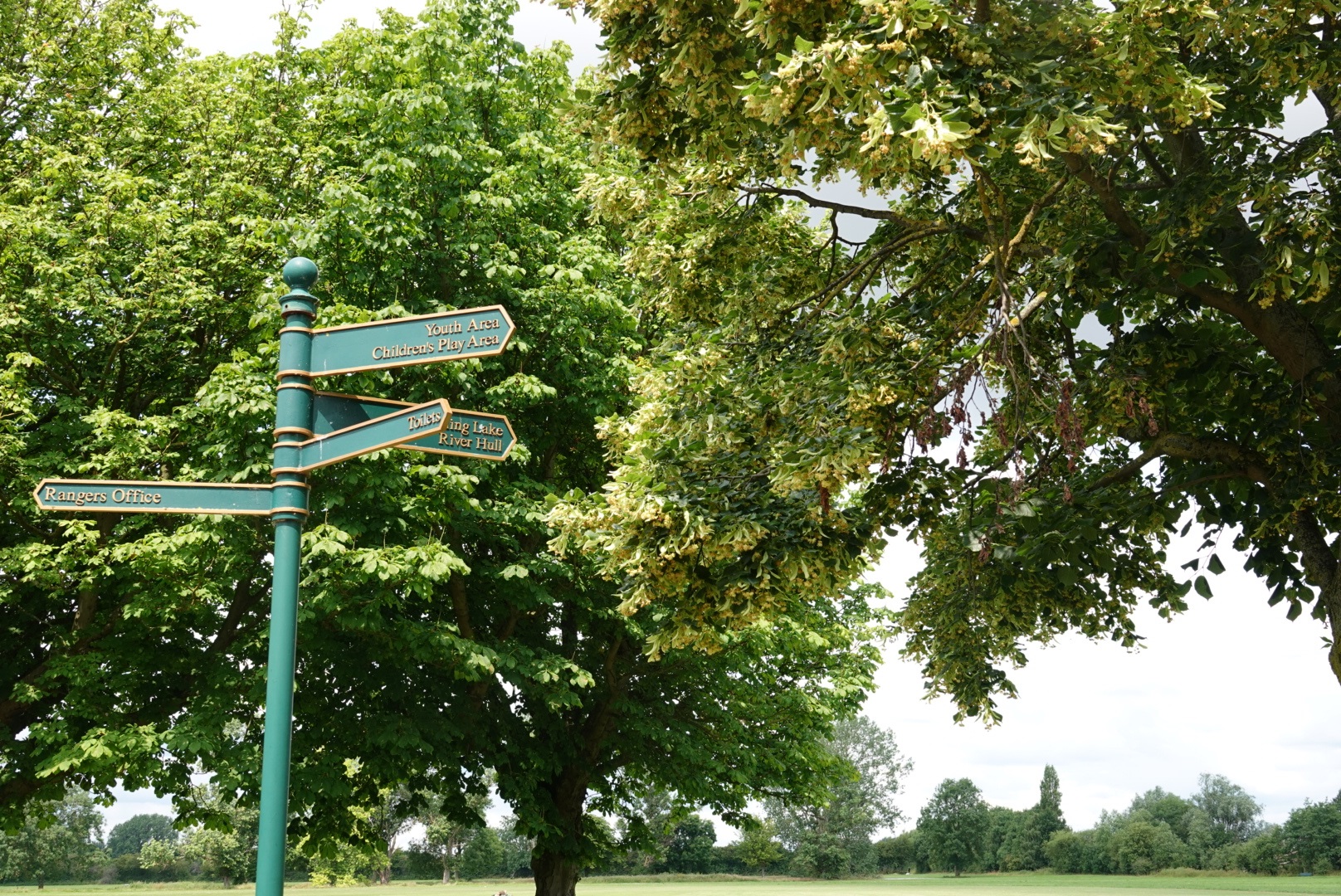 Oak Road Playing Fields.