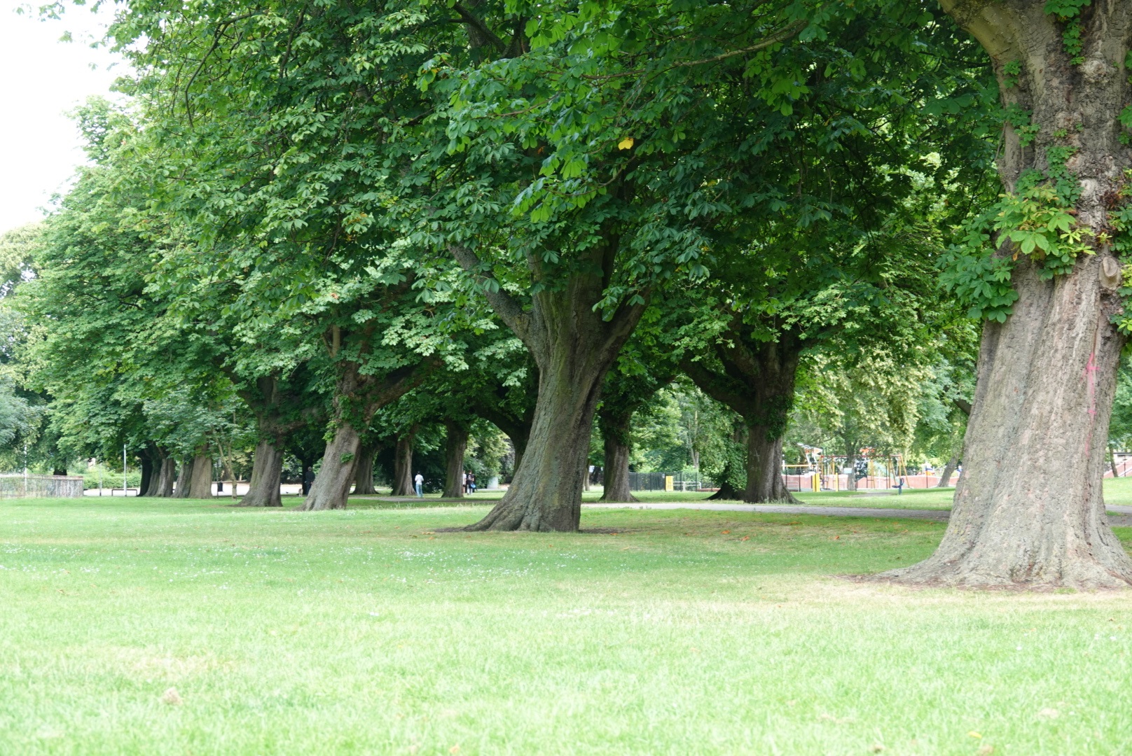 West Park in west Hull.