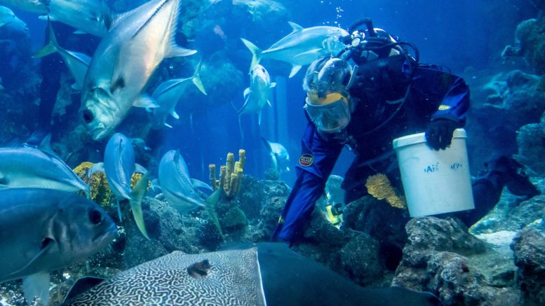 Behind The Scenes At The Deep During Coronavirus Hull Cc News Behind The Scenes At The Deep During Coronavirus Hull Cc News