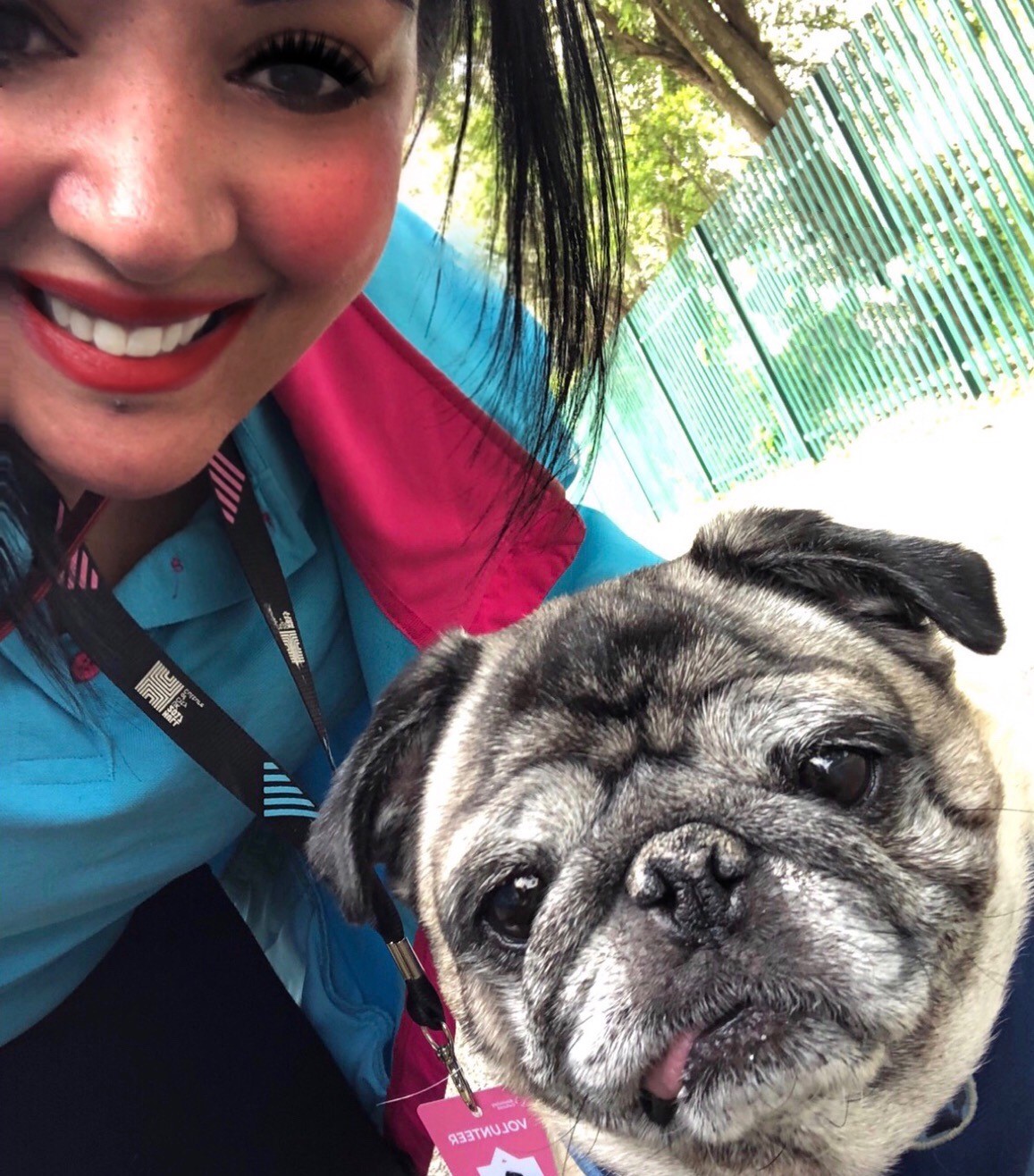 Volunteer Sita Douglas with Sandy the pug.