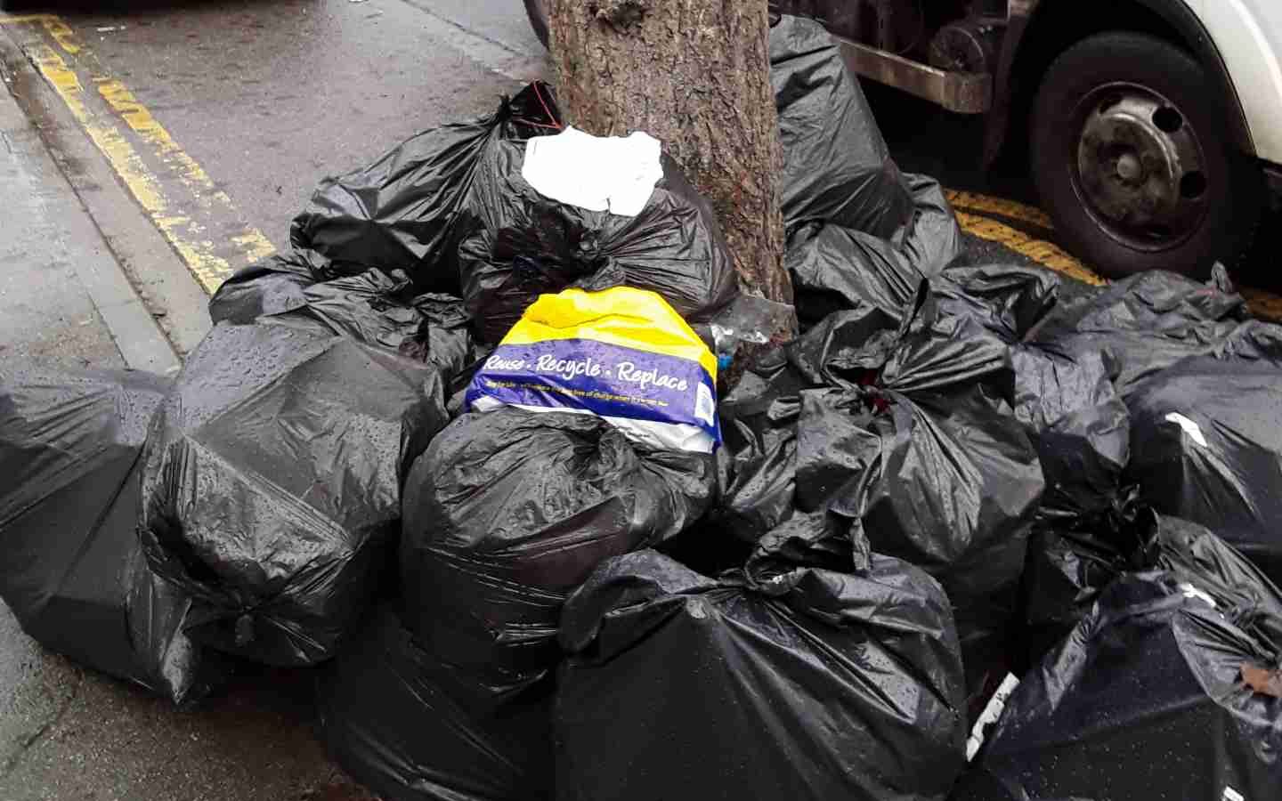 The fly-tipped waste on Albert Avenue.